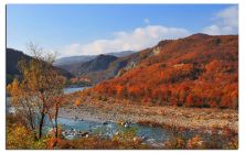 autunno in val trebbia.jpg